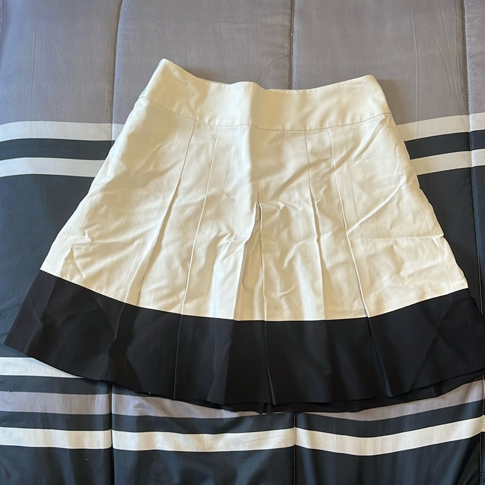 Ann Taylor Skirt